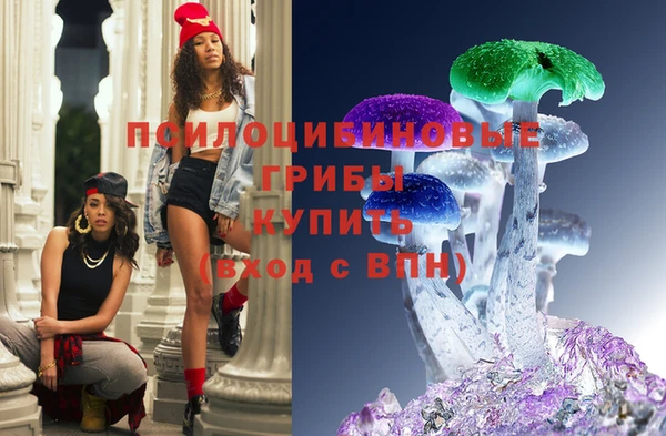 скорость Богданович