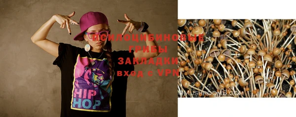 скорость Богданович