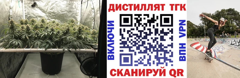 блэк спрут   Плёс  Дистиллят ТГК Wax 