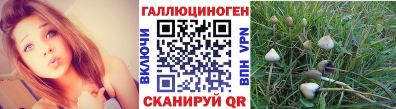 мега рабочий сайт  Плёс  Галлюциногенные грибы Magic Shrooms  закладка 